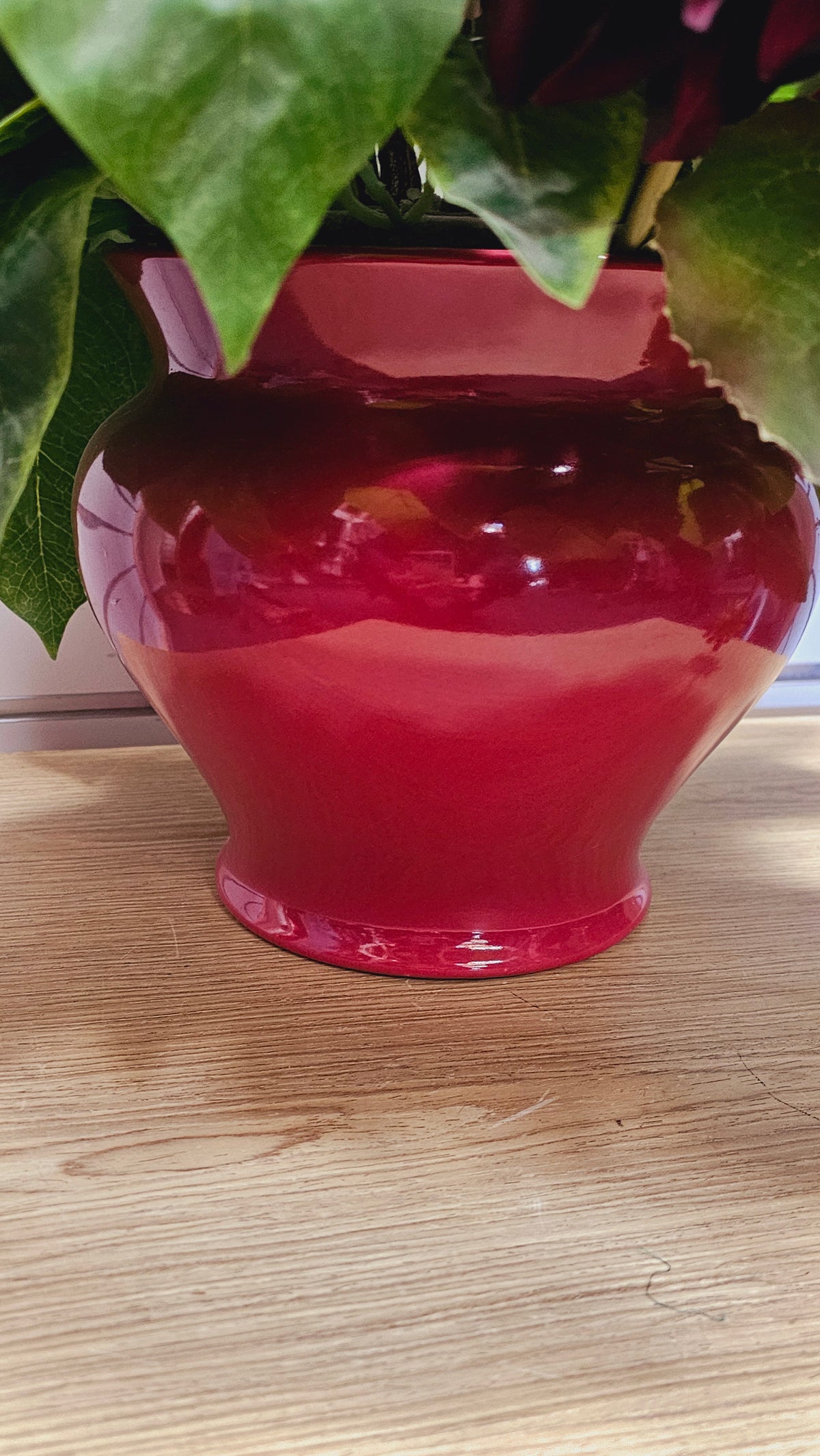 Red Silk Flower Arrangement in Maroon Vase image 3