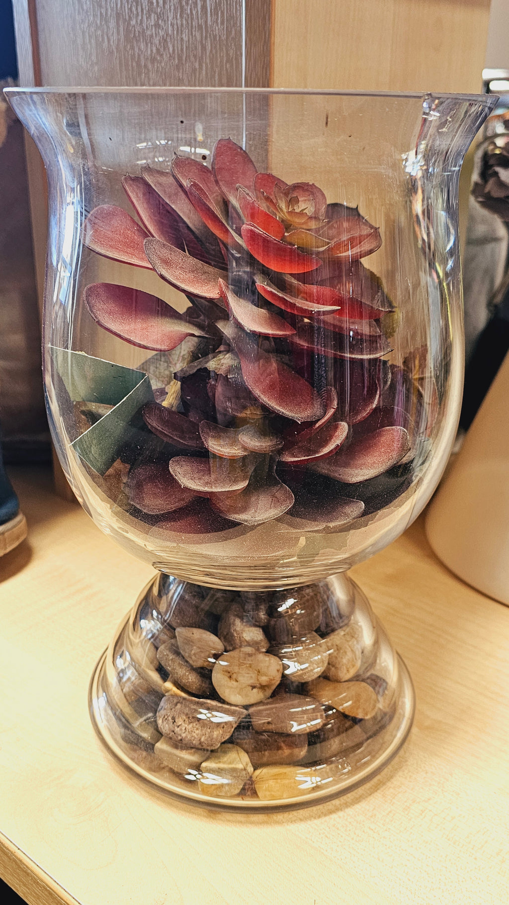 Rustic Succulent Arrangement in Glass Vase image 0