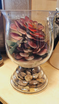Rustic Succulent Arrangement in Glass Vase image 0