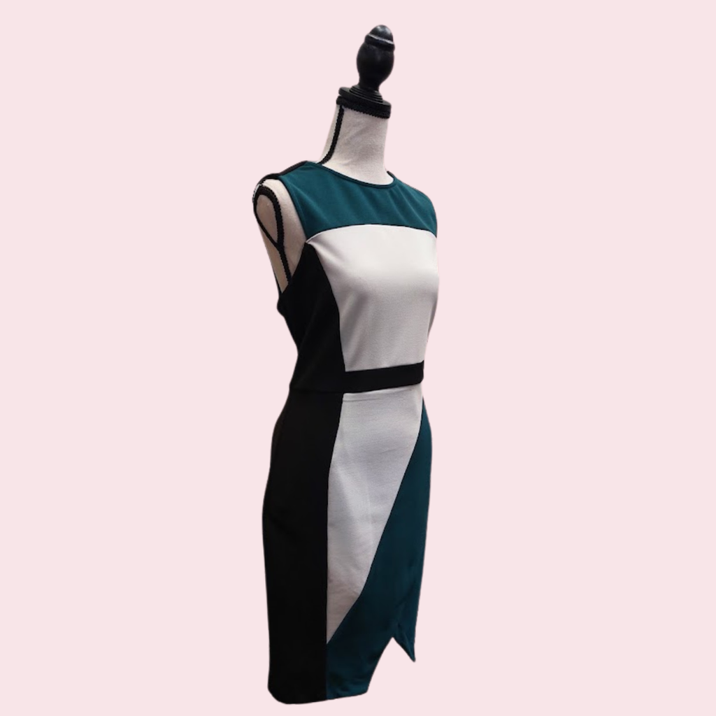 Pagani Block Colour Dress - 14 image 1