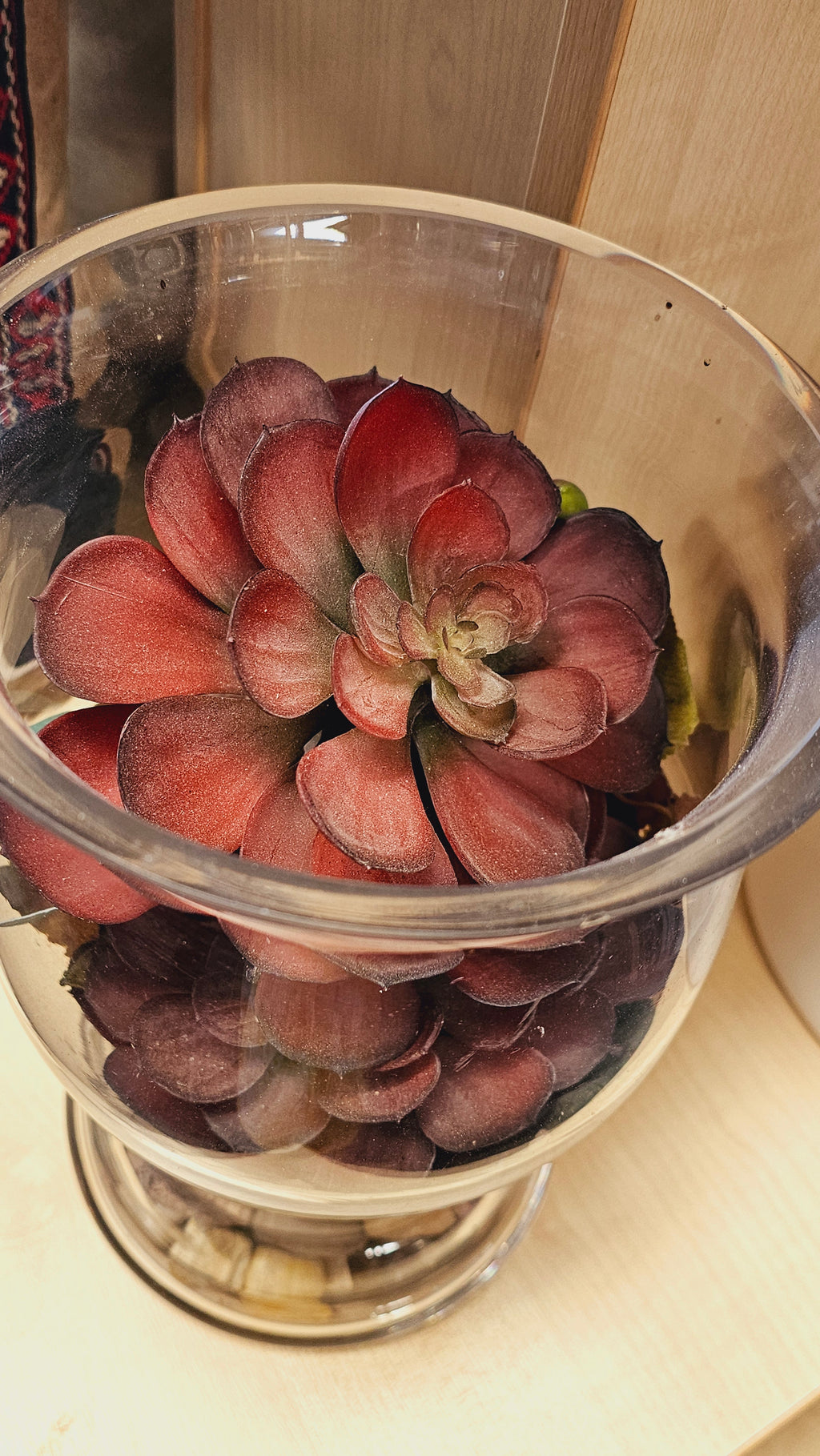 Rustic Succulent Arrangement in Glass Vase image 2