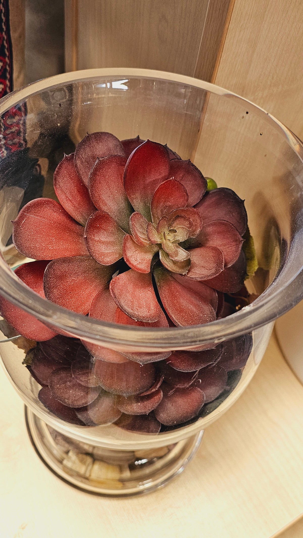 Rustic Succulent Arrangement in Glass Vase image 2