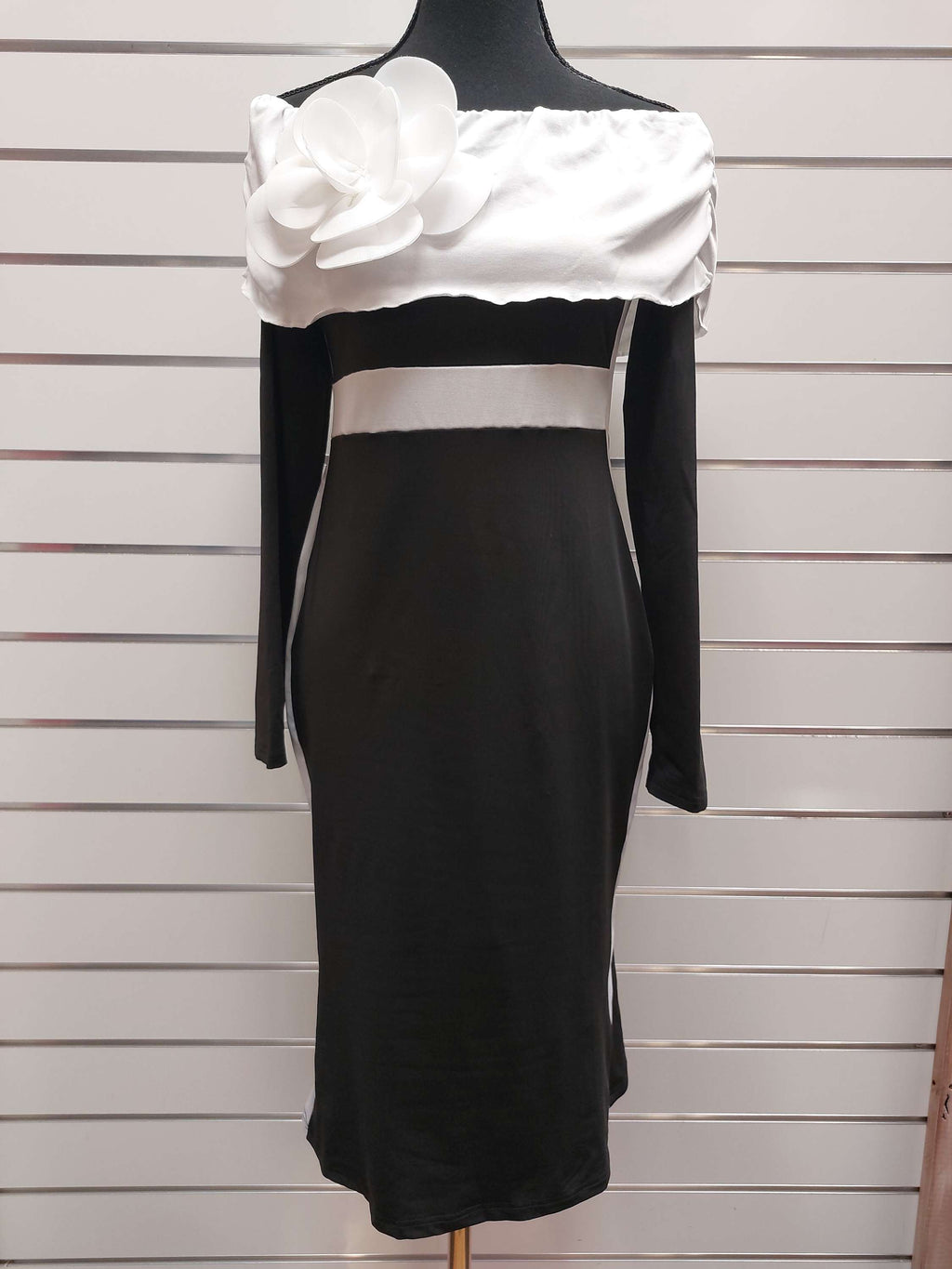 Black & White Dress - L image 0